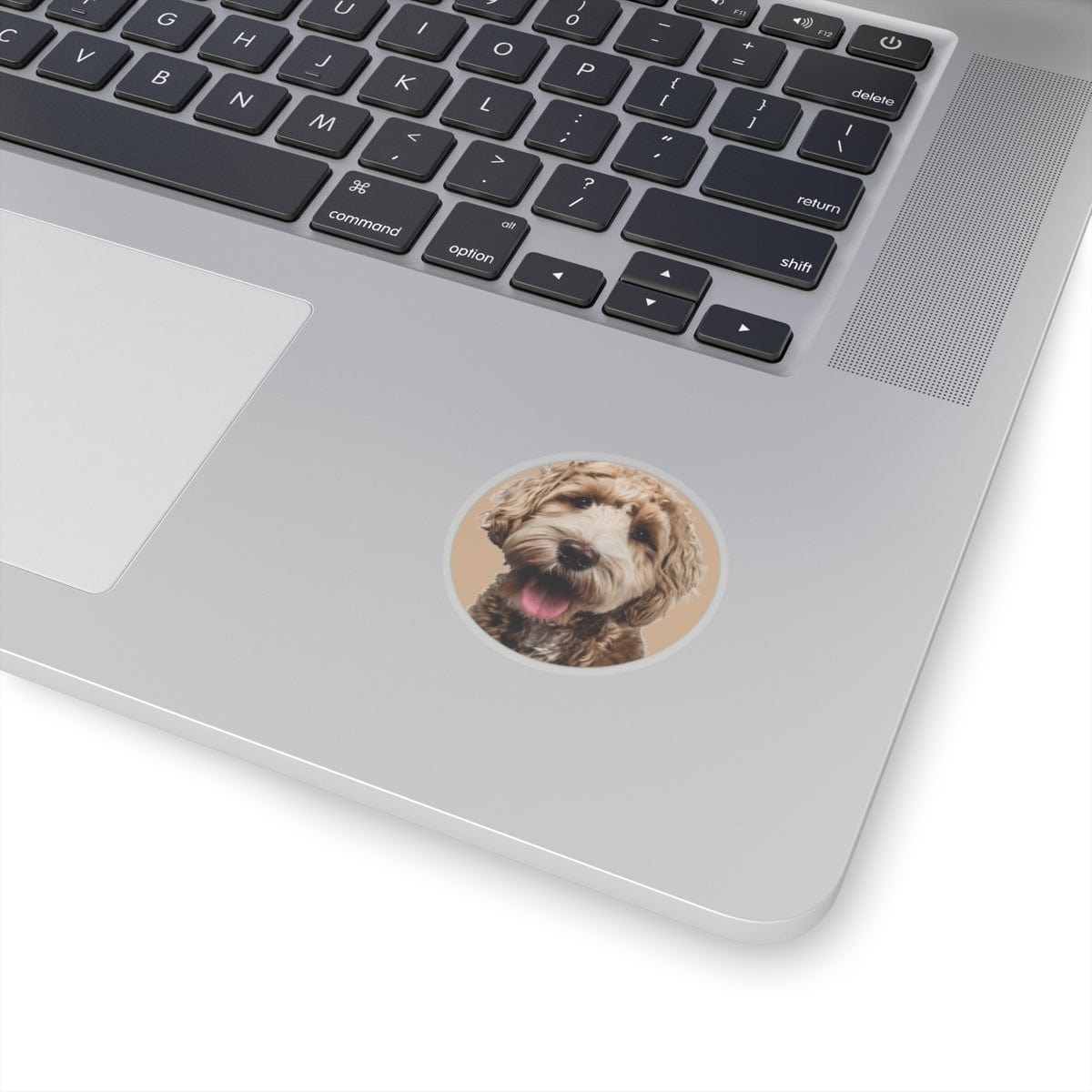 Happy Paws Sticker