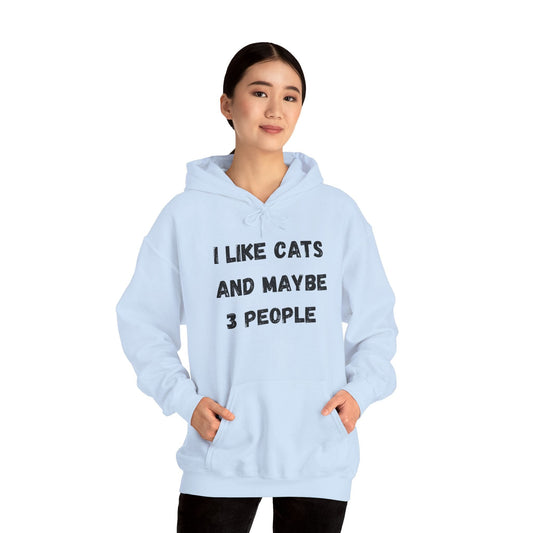 I Like Cats And Maybe 3 People Hoodie