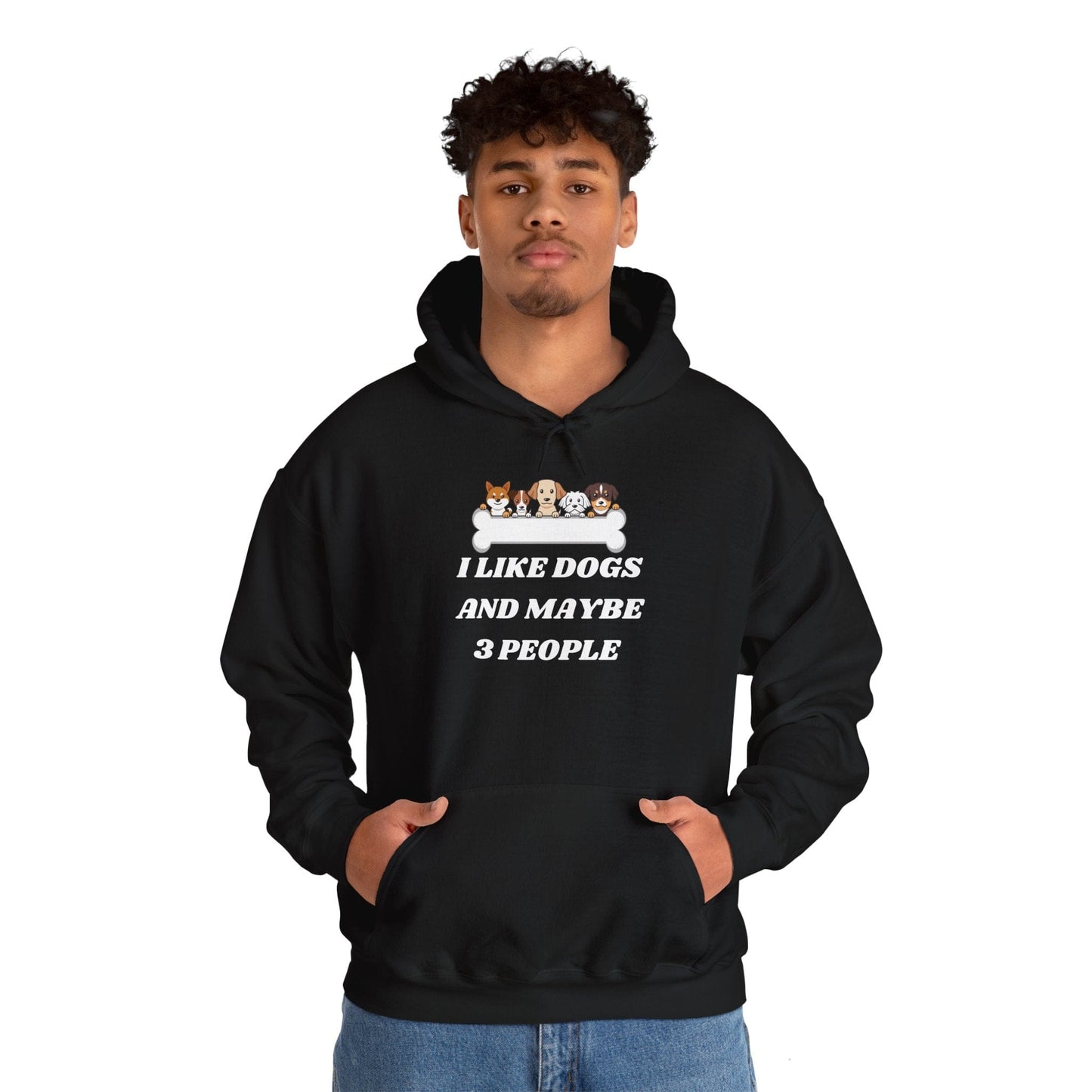 I like Dogs And Maybe 3 People Hoodie