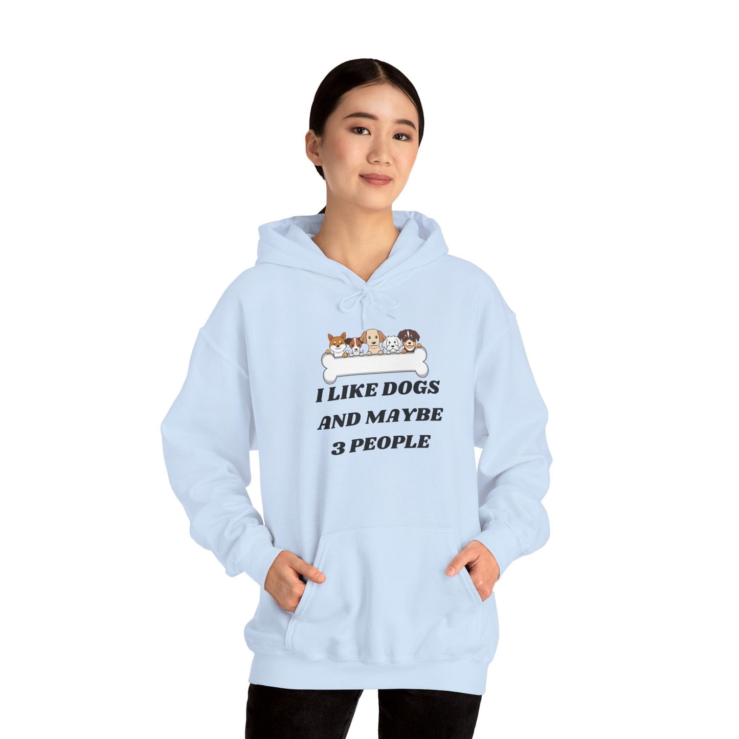 I like Dogs And Maybe 3 People Hoodie