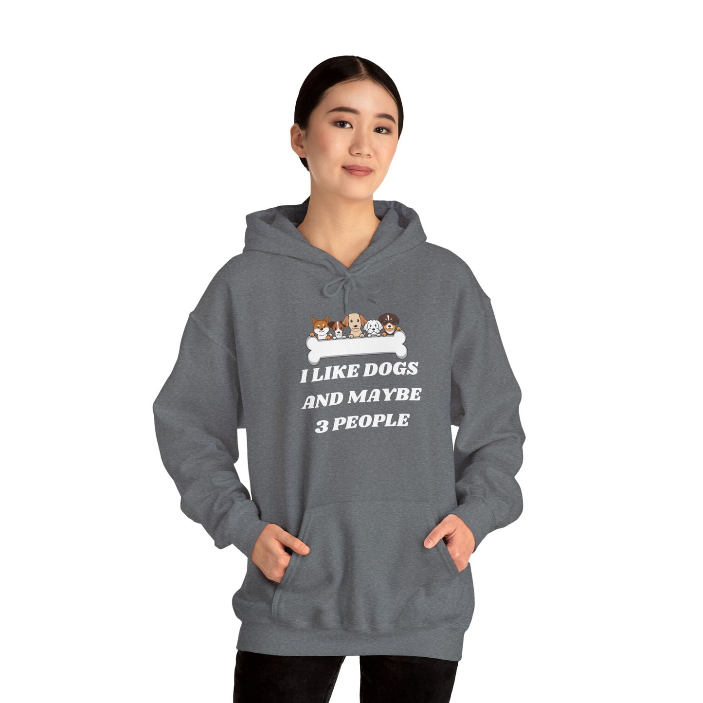 I like Dogs And Maybe 3 People Hoodie