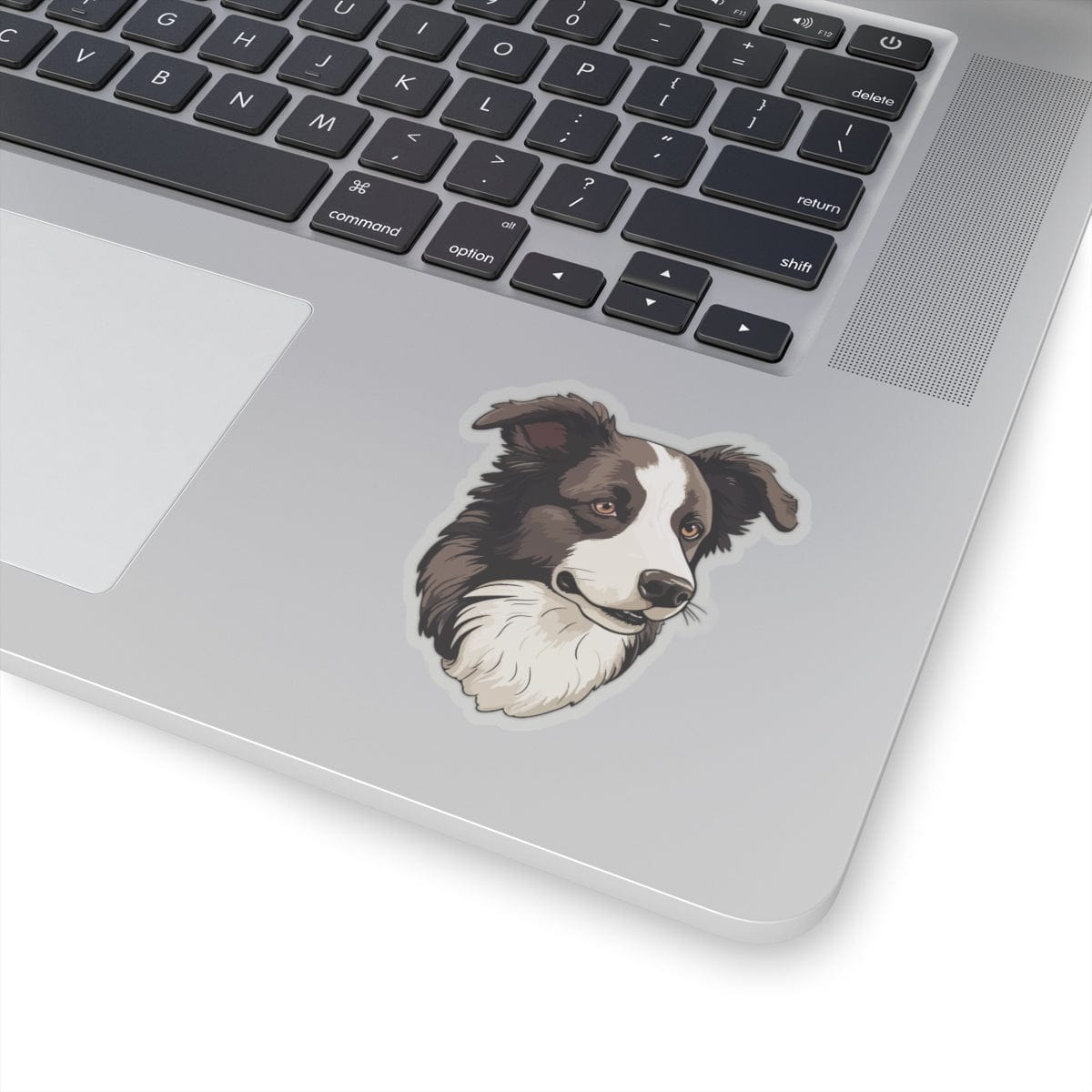 Border Collie Sticker