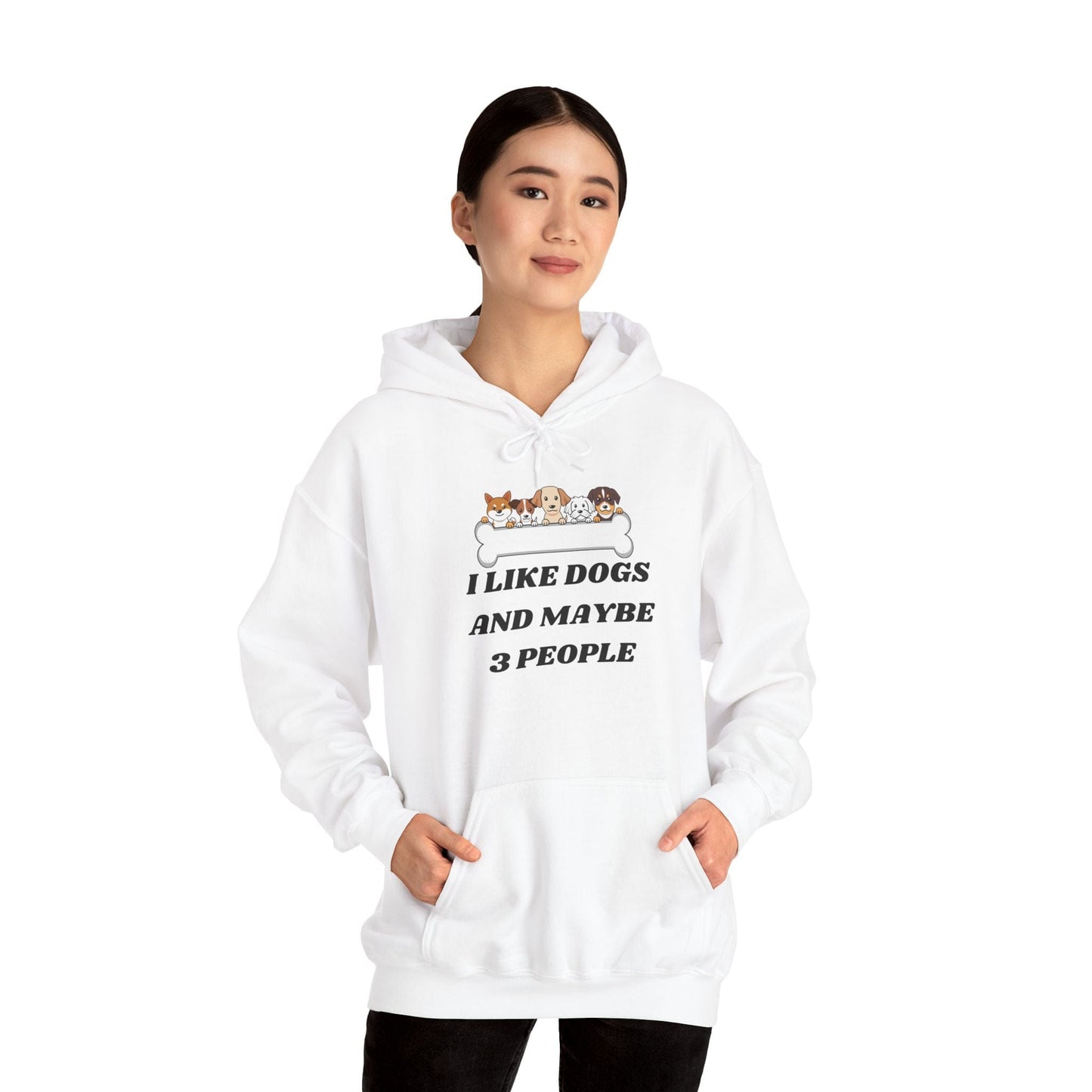 I like Dogs And Maybe 3 People Hoodie