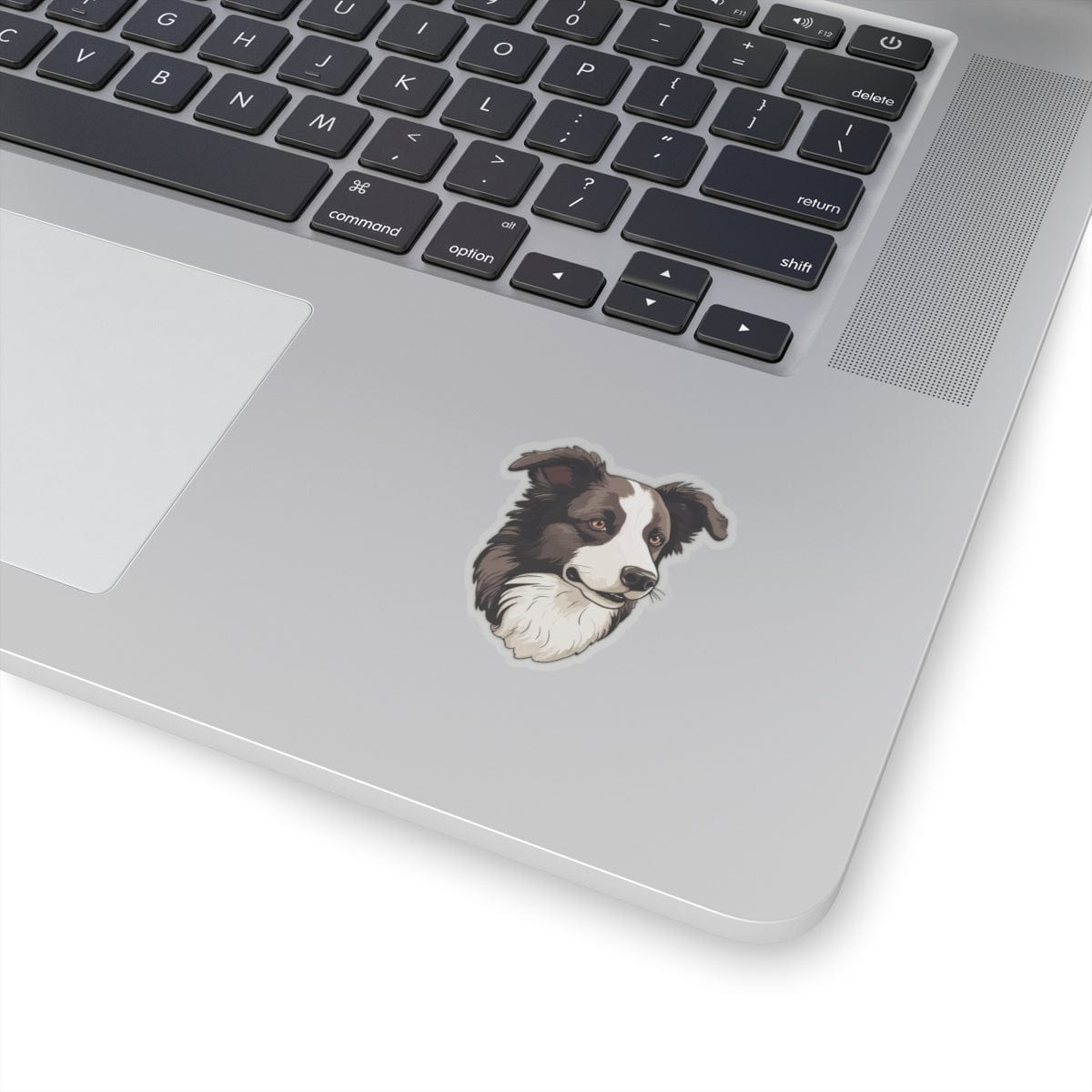 Border Collie Sticker