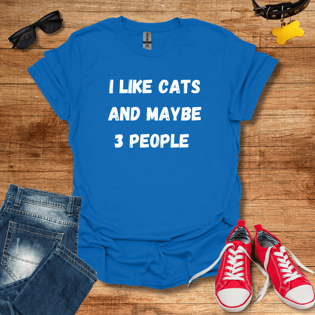 I Like Cats And Maybe 3 People T-Shirt