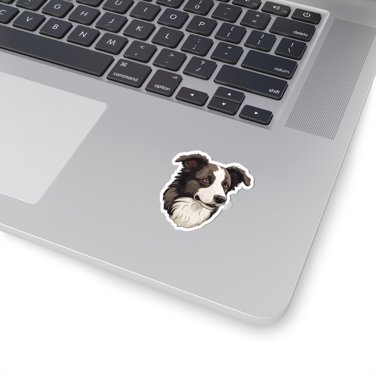 Border Collie Sticker