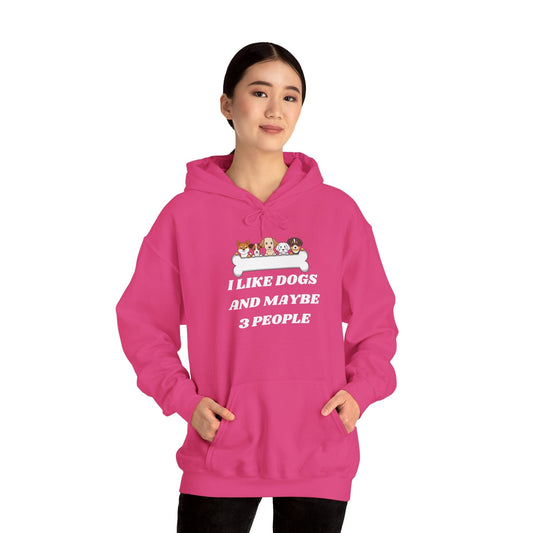 I like Dogs And Maybe 3 People Hoodie