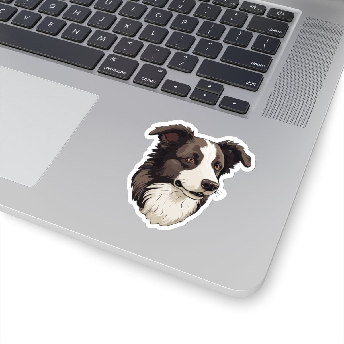 Border Collie Sticker