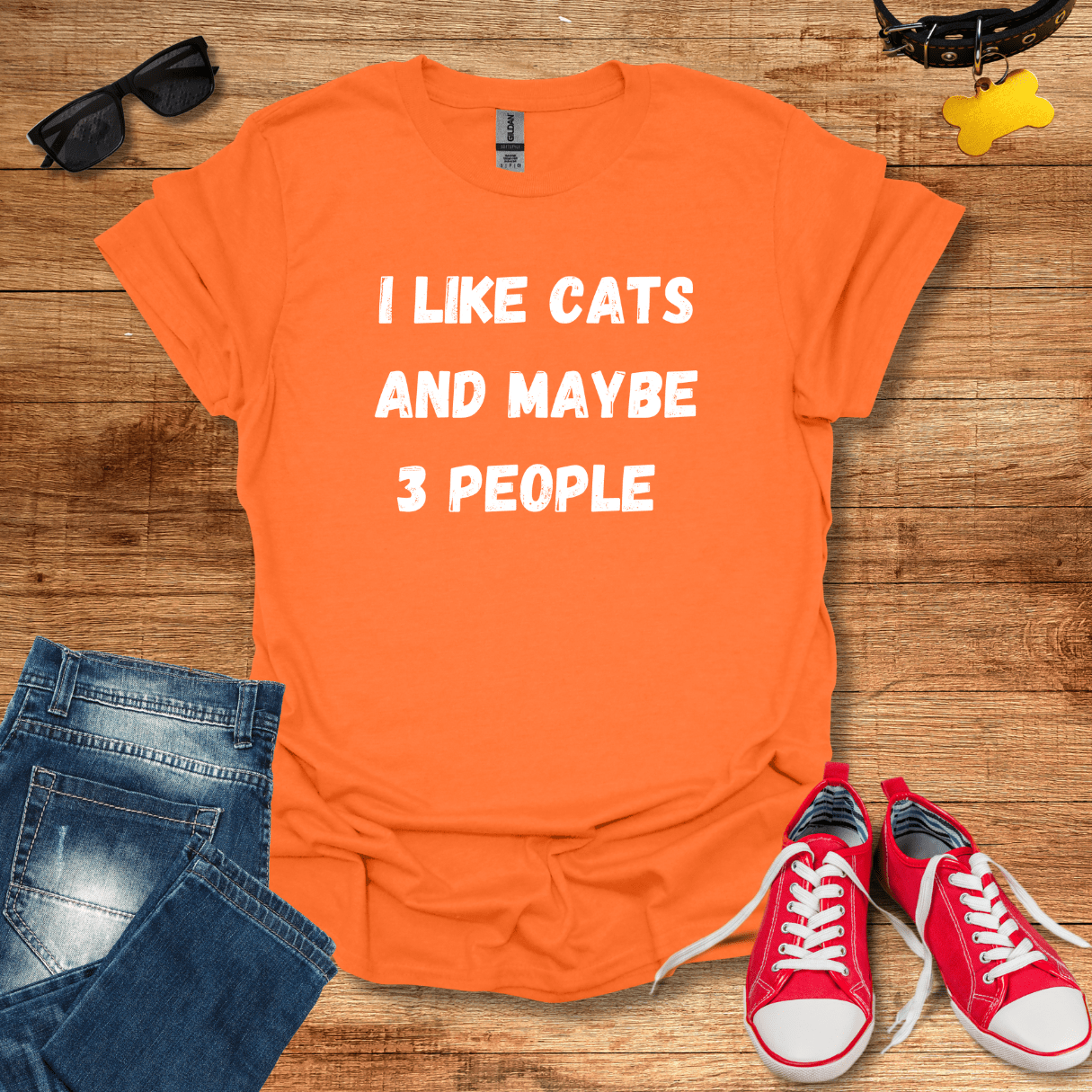 I Like Cats And Maybe 3 People T-Shirt