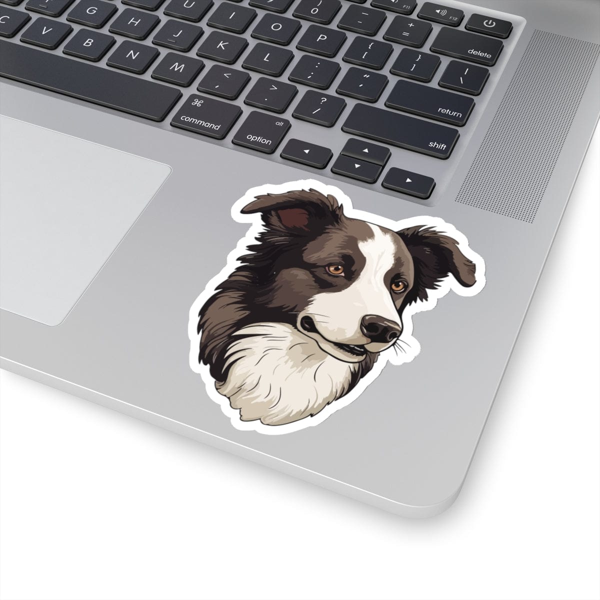 Border Collie Sticker